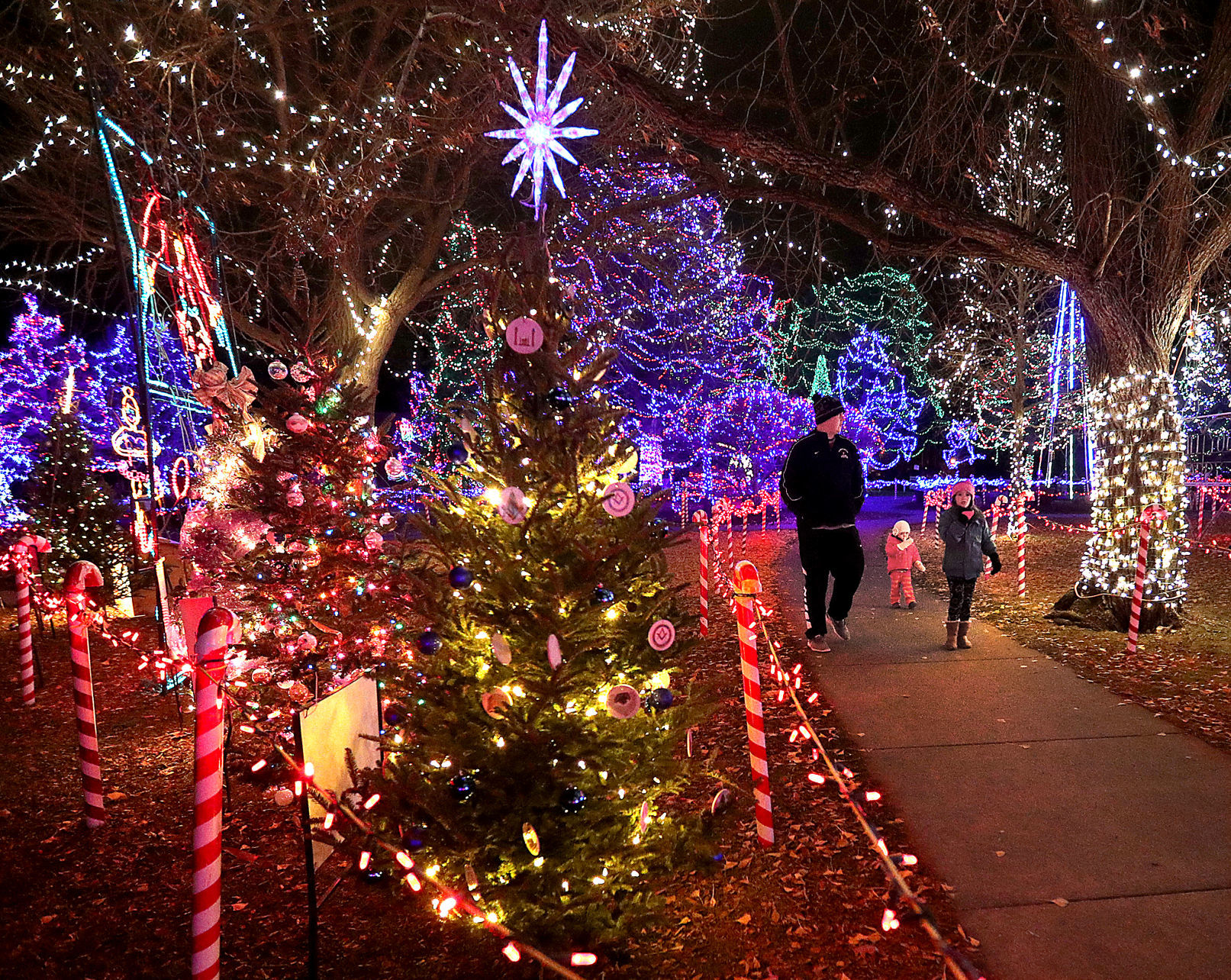 Rotary Lights